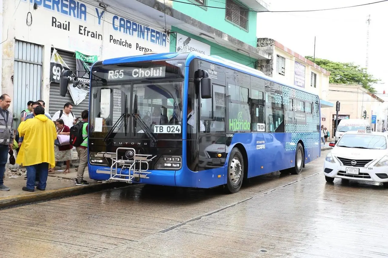 Nuevamente en marcha el sistema de Transporte en Mérida y la Zona metropolitana. Foto: ATY