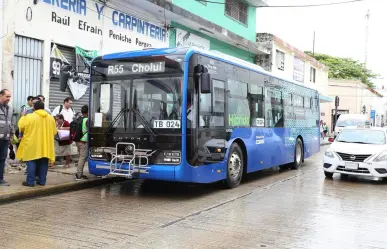 Transporte público en Mérida reanuda actividades tras paso de Beryl