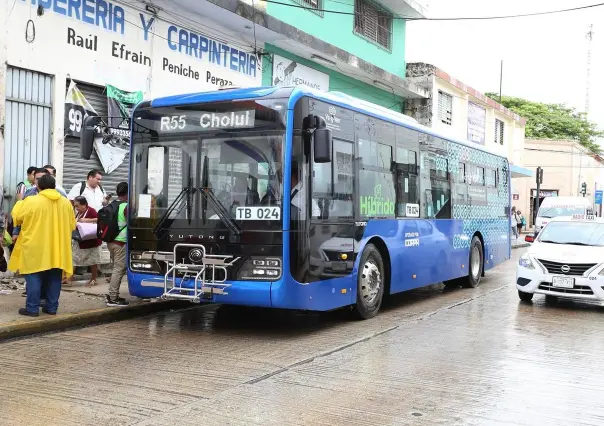 Transporte público en Mérida reanuda actividades tras paso de Beryl