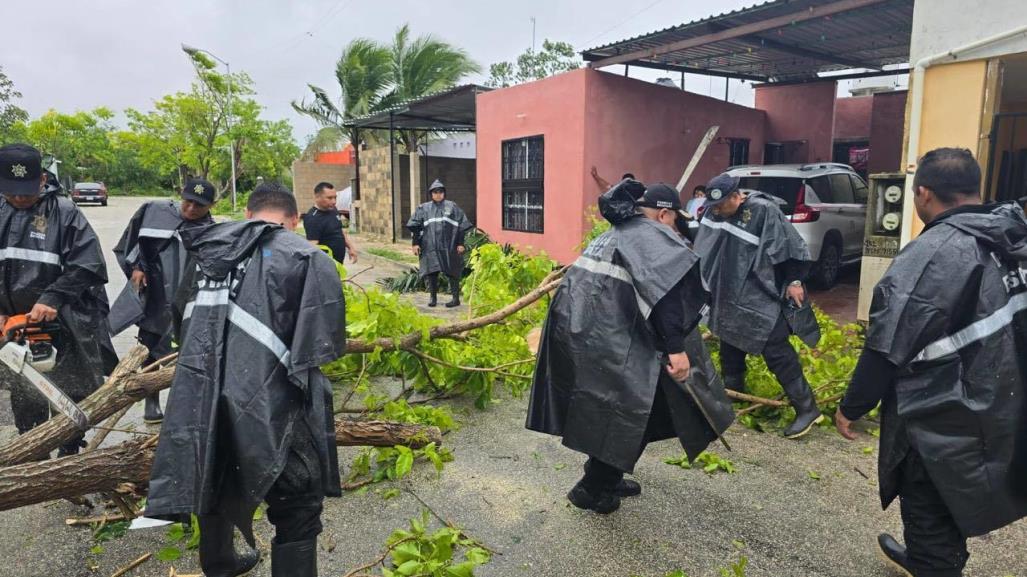 Provicy y SSP en labores de auxilio por huracán Beryl