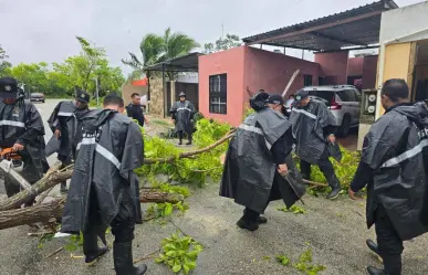 Provicy y SSP en labores de auxilio por huracán Beryl