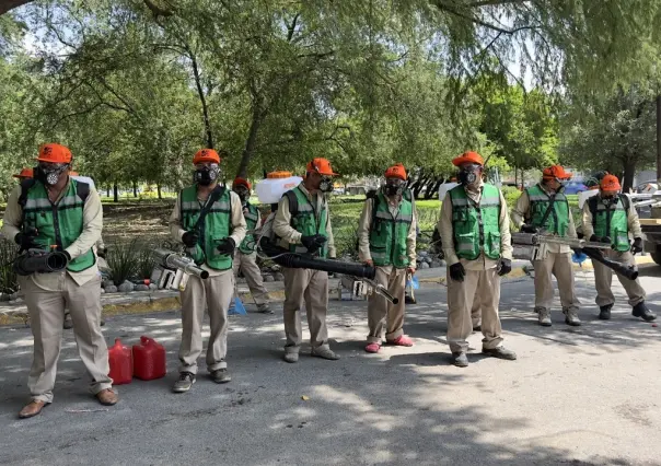 Realiza Monterrey operativos de fumigación permanente