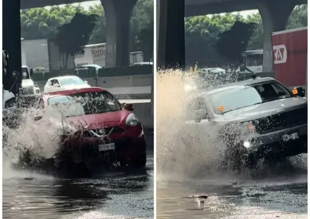 Mega bache sorprende a automovilistas (VIDEO)