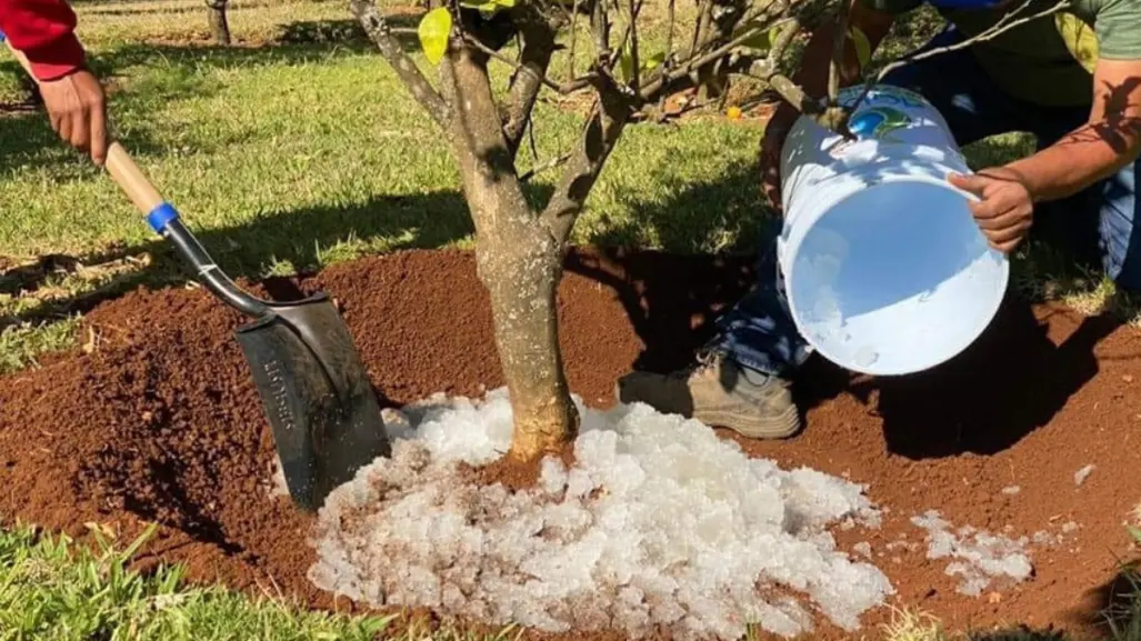 Convirtiendo agua de lluvia en un recurso sólido ¡Orgullo mexicano!