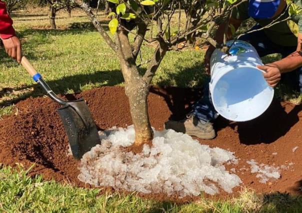 Convirtiendo agua de lluvia en un recurso sólido ¡Orgullo mexicano!