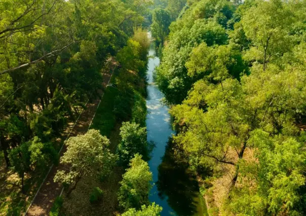 ¿Lo sabías? Canal Nacional gana un DNA Paris Design Awards 2024