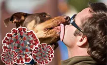 Por día mundial de las Zoonosis habrá vacuna antirrábica gratuita en CDMX