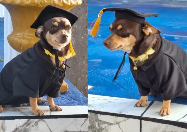 Canelo: el graduado estrella del Cecyteg en Guanajuato