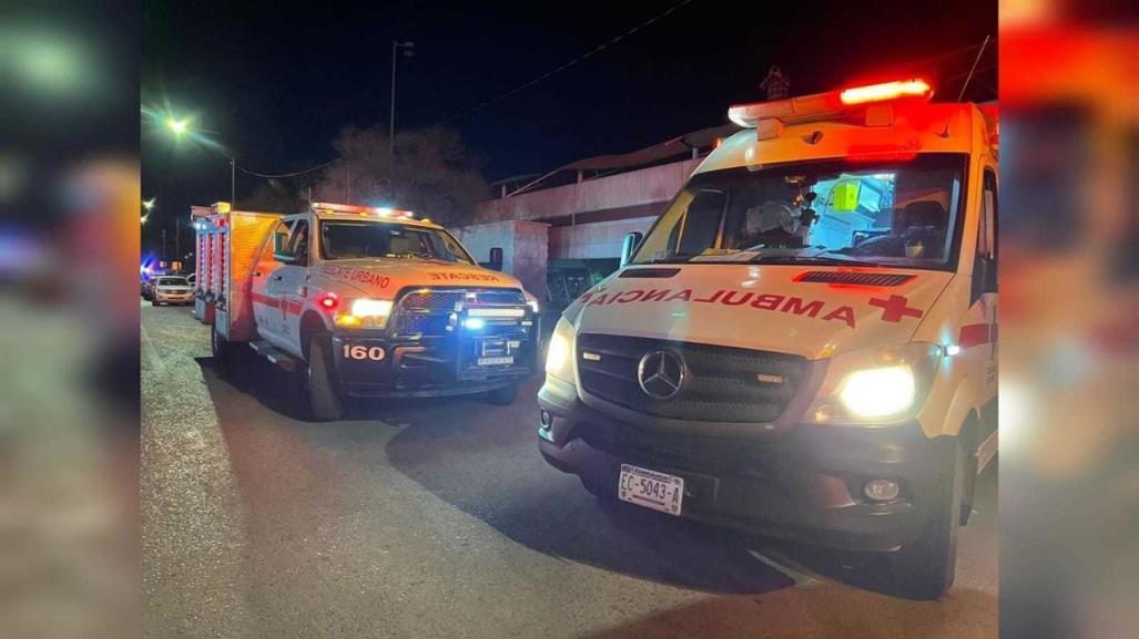 Atacan abejas a un adulto mayor en Cuencamé y le causan la muerte