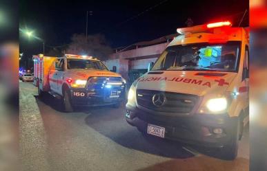 Atacan abejas a un adulto mayor en Cuencamé y le causan la muerte