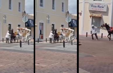 Captan a chofer de calesa golpeando a caballo en el Centro de Mérida (Video)