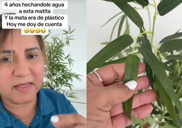 Mujer descubre que llevaba 4 años cuidando una planta de plástico (VIDEO)