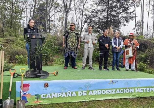 Reforestación en Metepec: Revitalizando áreas verdes