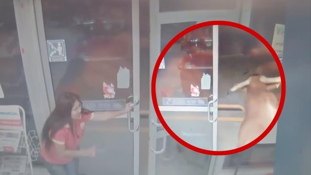 ¡México mágico!, toro irrumpe en Oxxo en Jalisco (VIDEO)