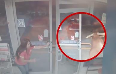 ¡México mágico!, toro irrumpe en Oxxo en Jalisco (VIDEO)