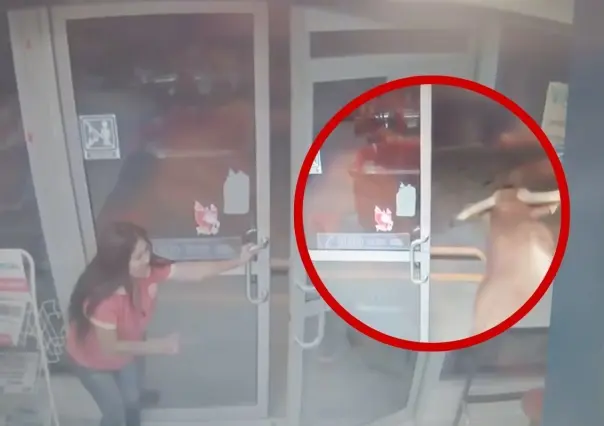 ¡México mágico!, toro irrumpe en Oxxo en Jalisco (VIDEO)