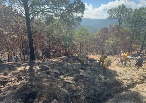 Arranca restauración forestal al sur del Edomex tras incendios