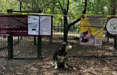 ¿Por qué cerraron las puertas del Parque Gandhi en el bosque de Chapultepec?