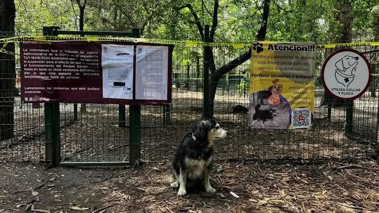 ¿Por qué cerraron las puertas del Parque Gandhi en el bosque de Chapultepec?