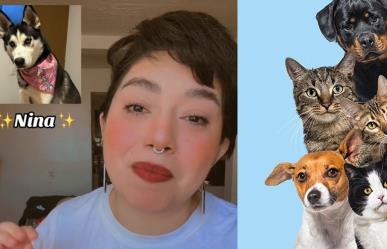 Tiktoker asegura comunicarse con los animales ¿Cuánto cuesta la sesión?