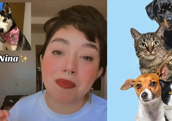 Tiktoker asegura comunicarse con los animales ¿Cuánto cuesta la sesión?
