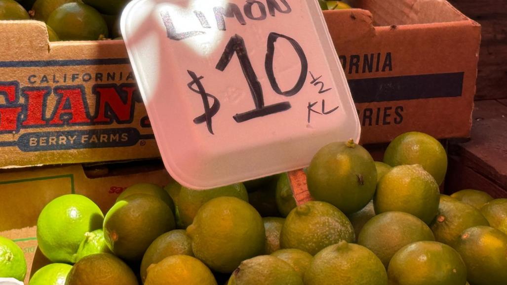 Se mantiene a la baja el precio del limón en mercados de Mérida