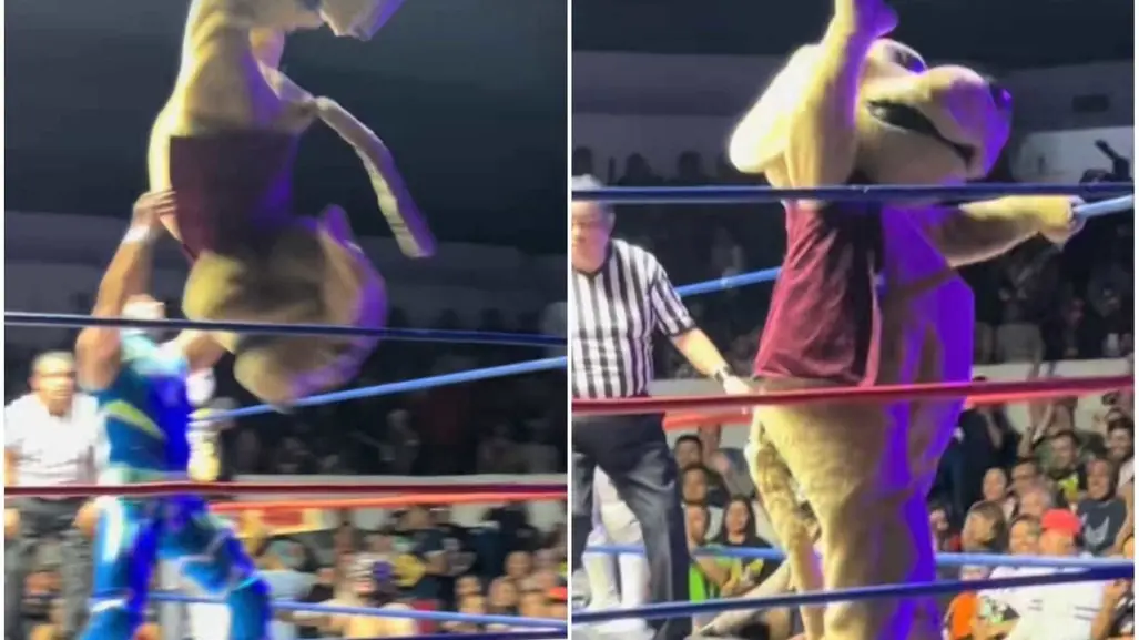 Wisin el Dog, el perro que cautiva a fans de la Lucha Libre (VIDEO)