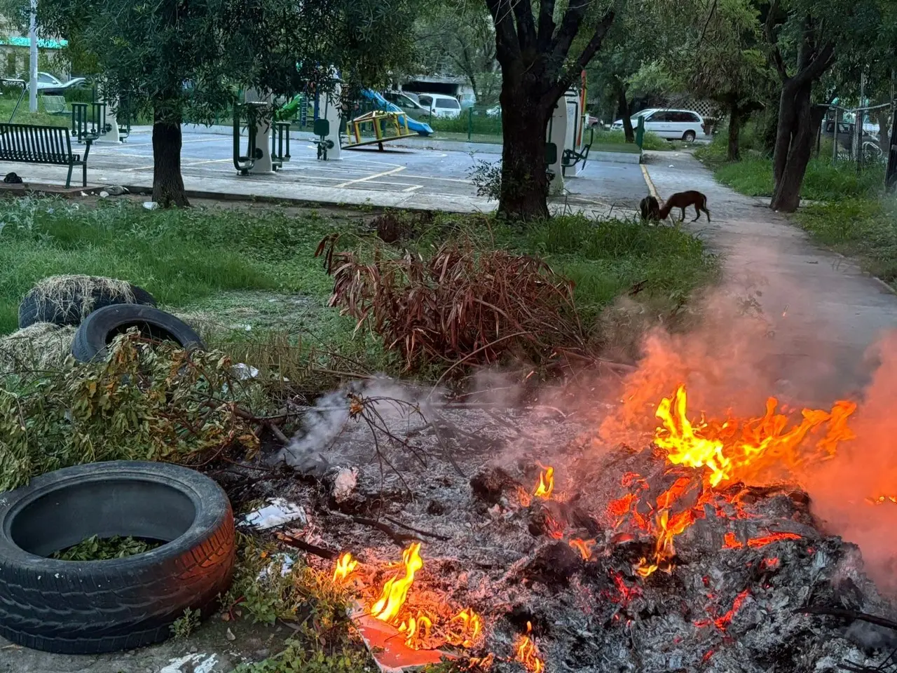 La basura que se incendia en la colonia Valle de Santa Lucía. Foto: Raymundo Elizalde.