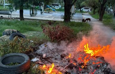 Olvidan recoger la basura y se incendia en Monterrey