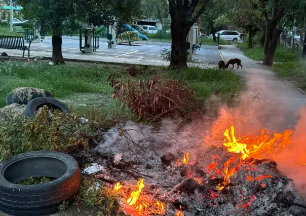 Olvidan recoger la basura y se incendia en Monterrey