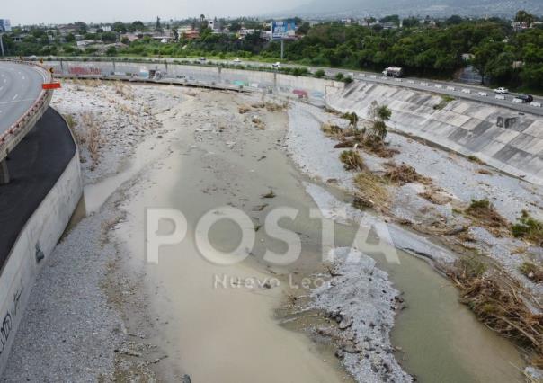 Barre tormenta tropical Alberto arbustos a lo largo del río Santa Catarina