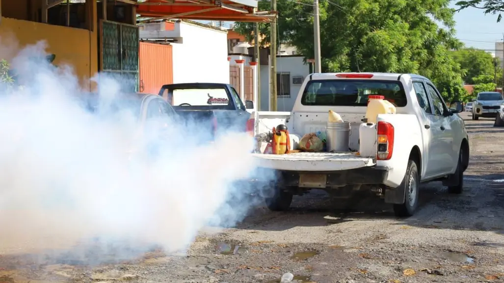 Descacharre y fumigación contra el dengue en Tamaulipas