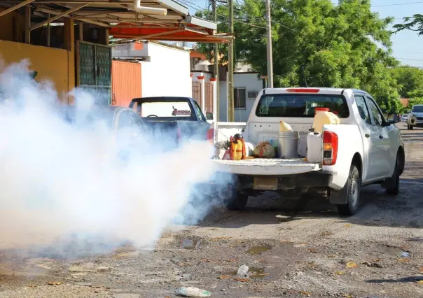 Descacharre y fumigación contra el dengue en Tamaulipas