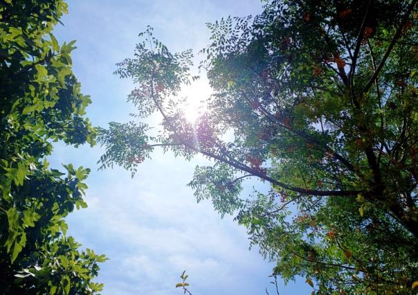 Fuertes lluvias llegarán a Durango de forma aislada