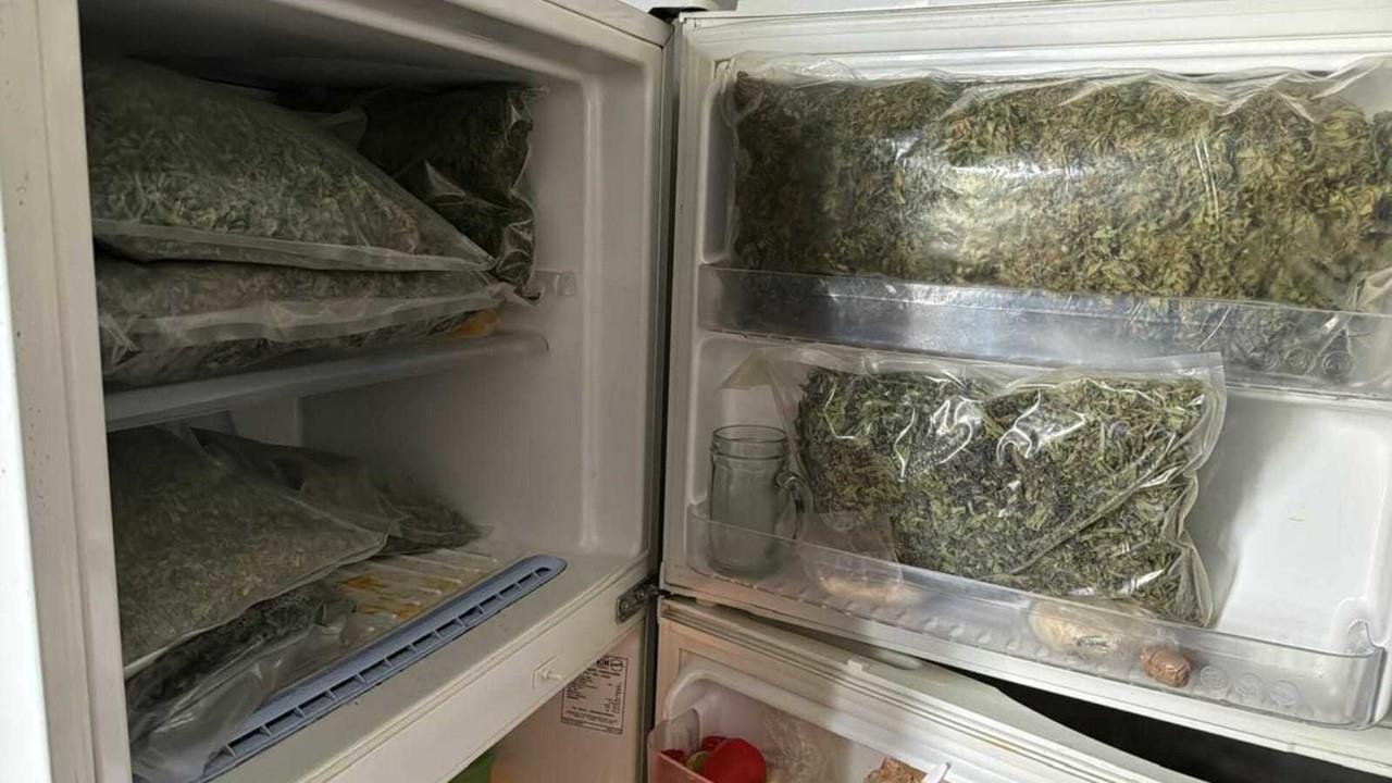 Desmantelan invernadero de marihuana en Nicolás Romero; hay un detenido