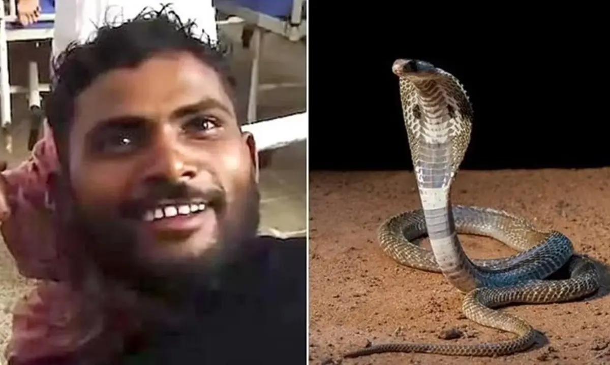 Santosh Lohar, de 35 años de edad, mató a mordidas a una serpiente que lo atacó mientas dormía en India. Foto: X @TrendingEx