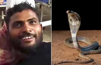 Hombre enfurecido mata a serpiente a mordidas en India