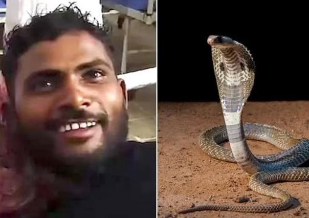 Hombre enfurecido mata a serpiente a mordidas en India