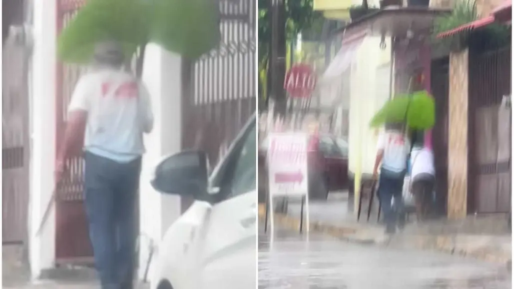 ¡Como Totoro! Hombre usa hoja gigante para cubrirse de la lluvia (VIDEO)