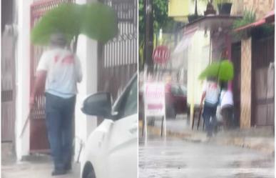 ¡Como Totoro! Hombre usa hoja gigante para cubrirse de la lluvia (VIDEO)