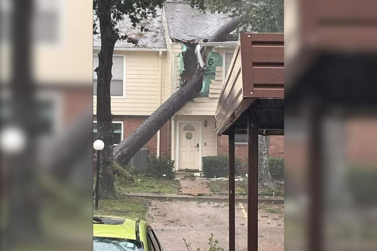 Fue la caída de un enorme árbol, el cual se desplomó sobre la casa debido a los fuertes vientos, lo que provocó la muerte de “Luzita”. Foto: Ignacio Aceves