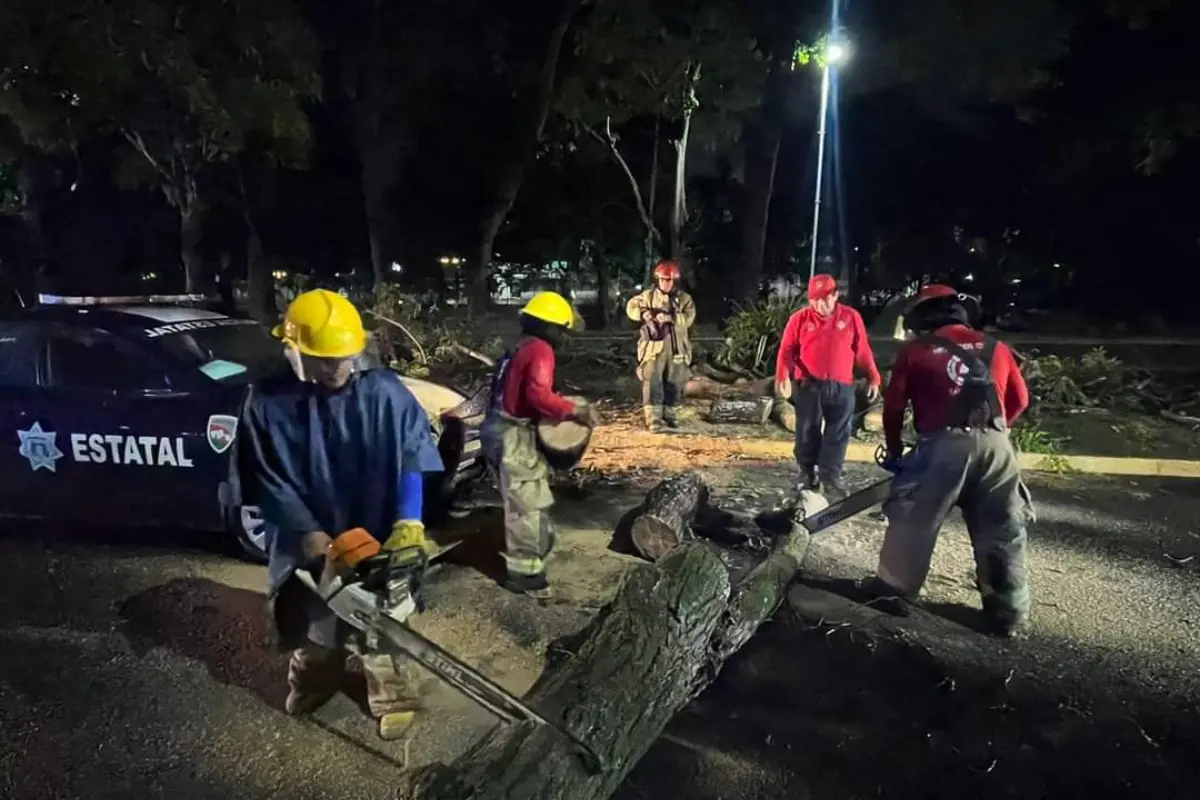 Efectivos del cuerpo de bomberos mientras destruyen un tronco de uno de los árboles caídos. Foto: Armando de la Rosa