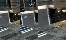 Volcadura en Los Ramones deja a oficial de Fuerza Civil sin vida y 3 lesionados