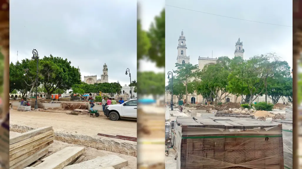 Meridanos reaccionan a la tala de árboles por remodelación de la Plaza Grande