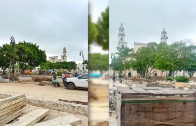 Meridanos reaccionan a la tala de árboles por remodelación de la Plaza Grande