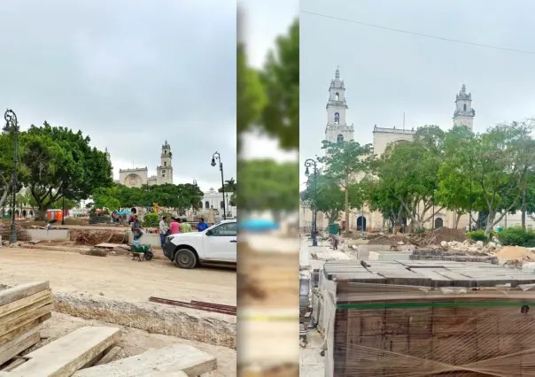 Meridanos reaccionan a la tala de árboles por remodelación de la Plaza Grande