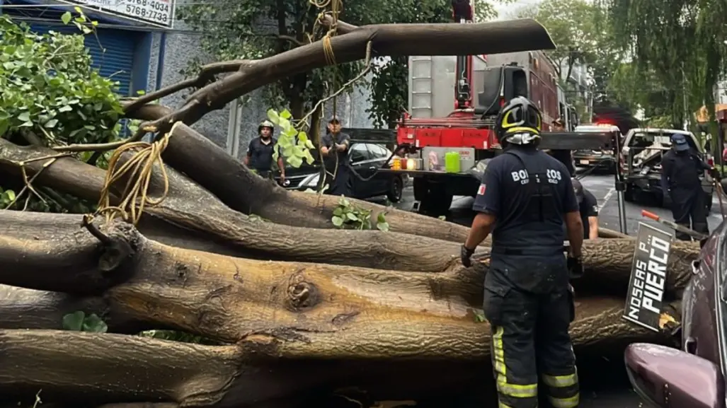 Cae árbol, daña 3 vehículos y cableado eléctrico en Venustiano Carranza