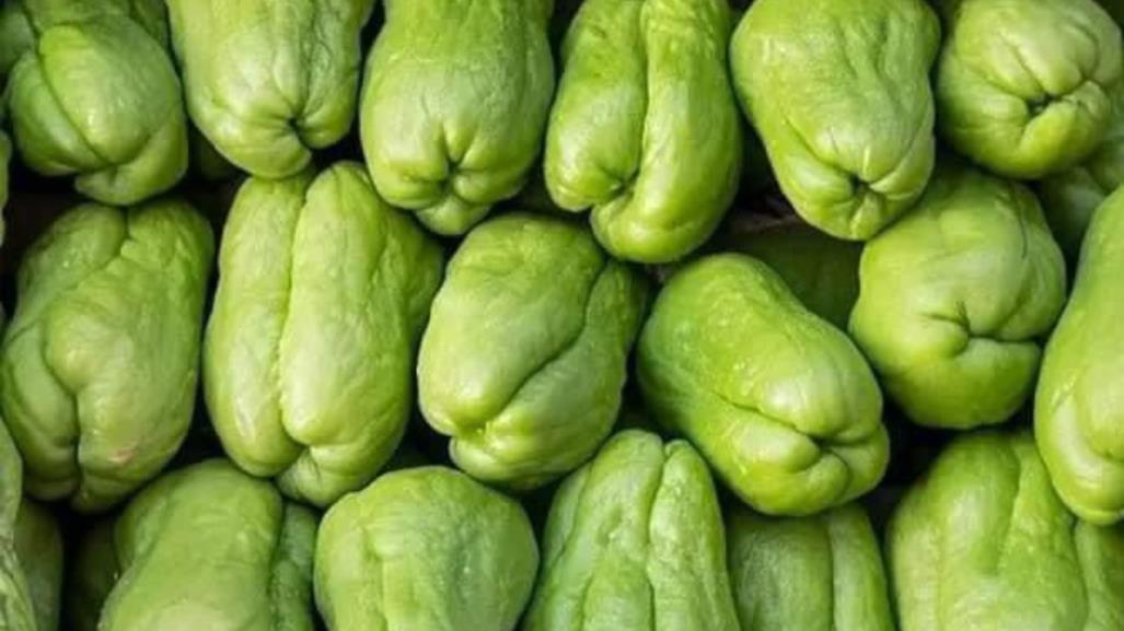 Sequía en Veracruz provoca subida del precio del chayote