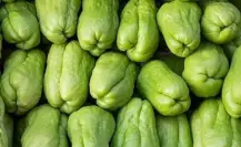 Sequía en Veracruz provoca subida del precio del chayote