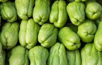 Sequía en Veracruz provoca subida del precio del chayote